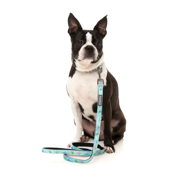 Fuzzyard [15% OFF] Fuzzyard Wakey Wakey Dog Collar (3 Sizes) Dog Accessories
