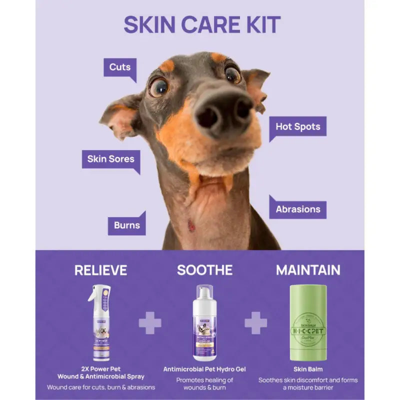 HICC PET [Skin Care Series] HICC Skin Care Spray / Wipes For Dogs & Cats Dog Healthcare
