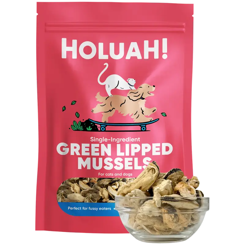Holuah [30% OFF](New Launch) Holuah! - Freeze Dried Green Lipped Mussels Cats & Dogs Treats Dog Food & Treats
