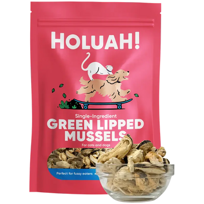 Holuah [30% OFF](New Launch) Holuah! - Freeze Dried Green Lipped Mussels Cats & Dogs Treats Dog Food & Treats