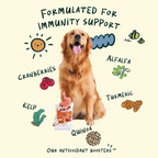 [10% OFF] Notti Joint Care Fresh Duck & Beef  (Super Premium Dog Food) 2kg