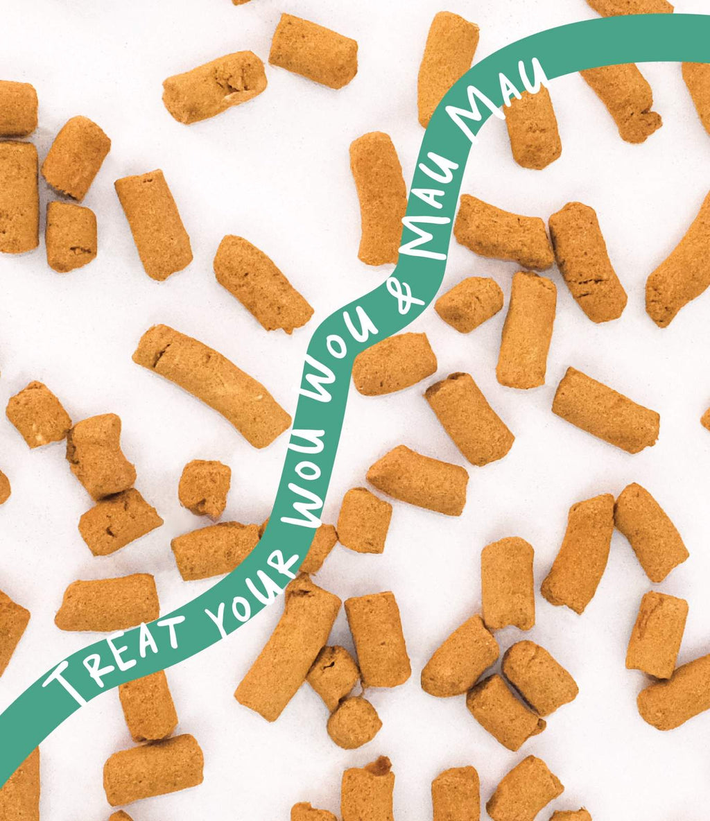 [10% OFF] Notti Joint Care Beef & Salmon Freeze-Dried Chunks 50g Treats For Dogs & Cats