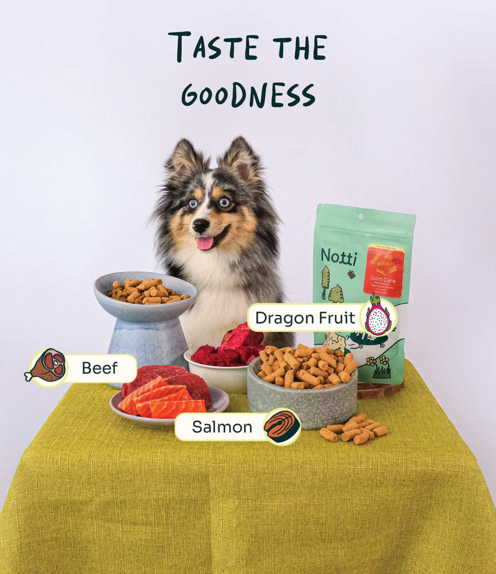 [10% OFF] Notti Joint Care Beef & Salmon Freeze-Dried Chunks 50g Treats For Dogs & Cats