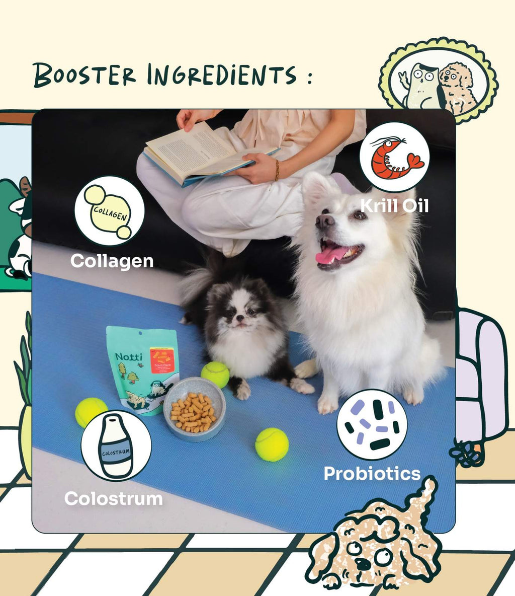 [10% OFF] Notti Joint Care Beef & Salmon Freeze-Dried Chunks 50g Treats For Dogs & Cats