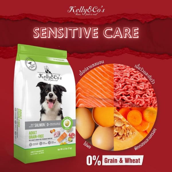 Kelly & Co’s Kelly & Co’s Fjord Bay Salmon With Beef Grain-Free Dry Dog Food 2.72kg Dog Food & Treats