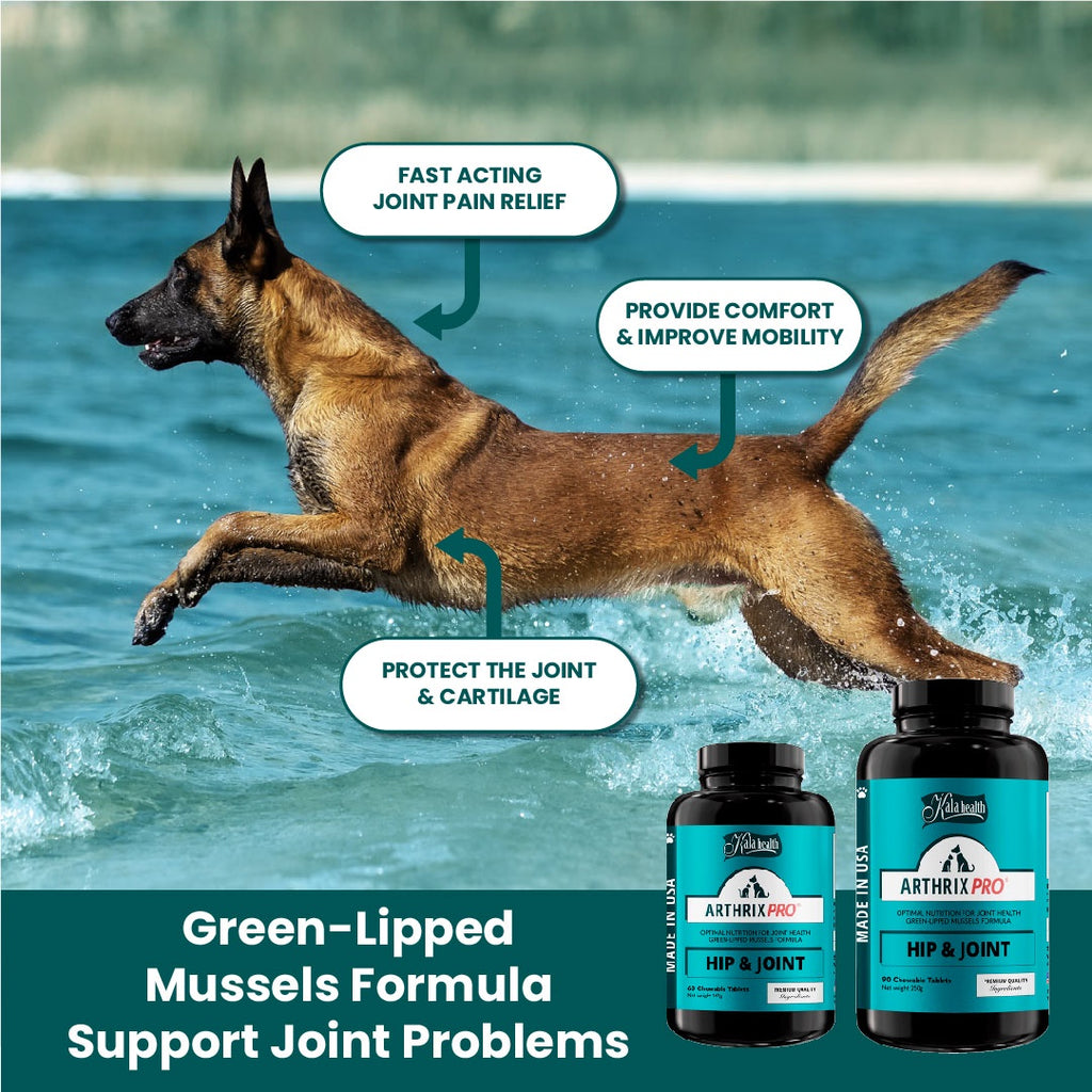 10% OFF Kala Health ARTHRIX PRO® 60 tablets For Dogs & Cats I Pet Supplement