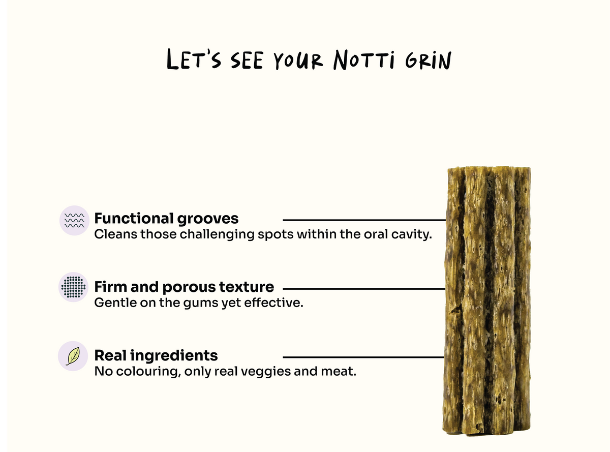 [10% OFF] Notti Plaque Control Dental Chews (Mini/Small Dogs) (10 chews) For Dogs 100g