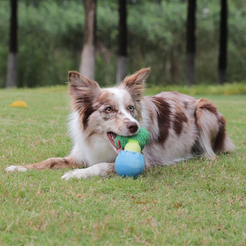 10% OFF GiGwi Magical Plants Cauliflower Dog Toy 4088