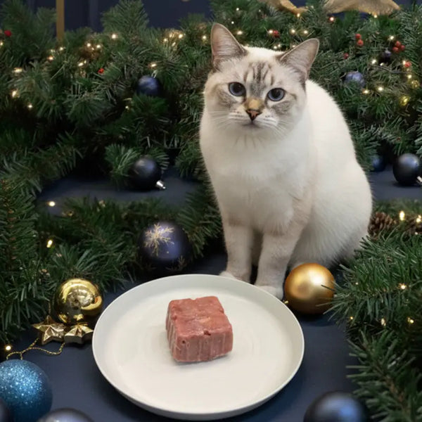 Pet Cubes (2025 Edition)PetCubes Raw for Cats - Festive Turkey 1.28KG Cat Food & Treats