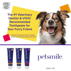 PetSmile [Vet Recommend] Pet Smile Professional Dental Oral Care Products For Dogs & Cats Dog Healthcare