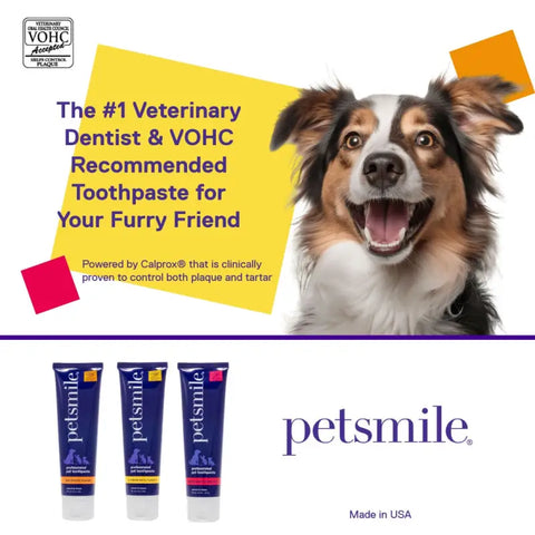 PetSmile [Vet Recommend] Pet Smile Professional Dental Oral Care Products For Dogs & Cats Dog Healthcare