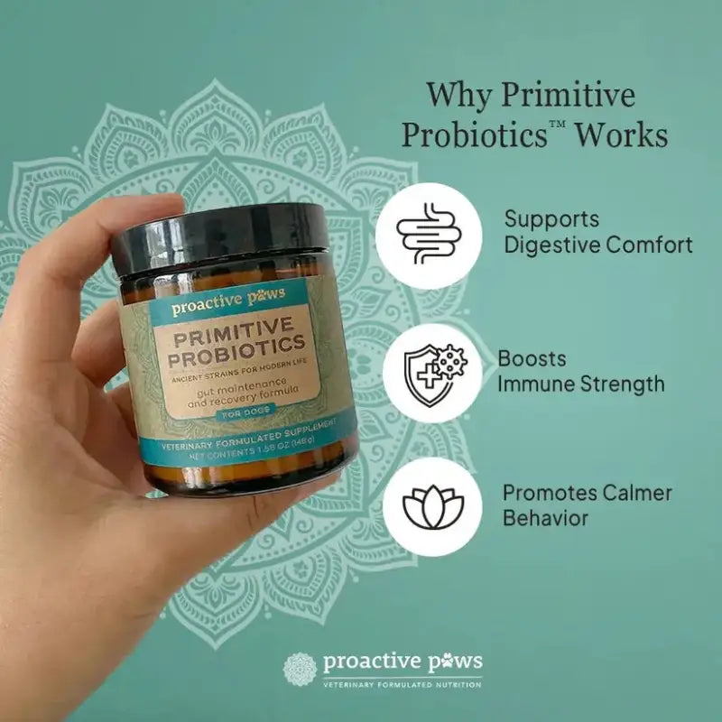 Proactive Paws [Launch Promo 10% OFF] Proactive Paws - Primitive Probiotics 45g Pet Supplements