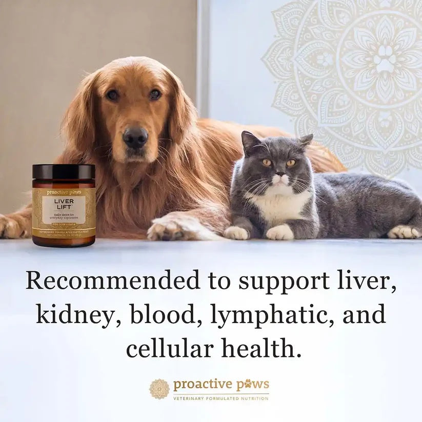 10% OFF Dr Karen Becker Proactive Paws - Liver Lift 45g Pet Supplement For DOgs & Cats