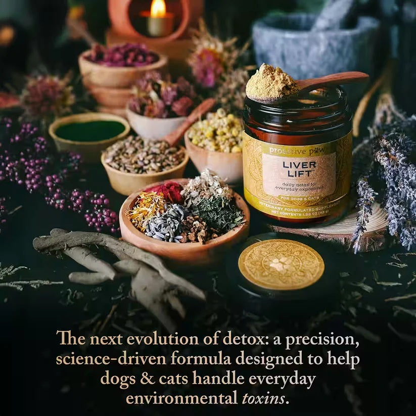 10% OFF Dr Karen Becker Proactive Paws - Liver Lift 45g Pet Supplement For DOgs & Cats