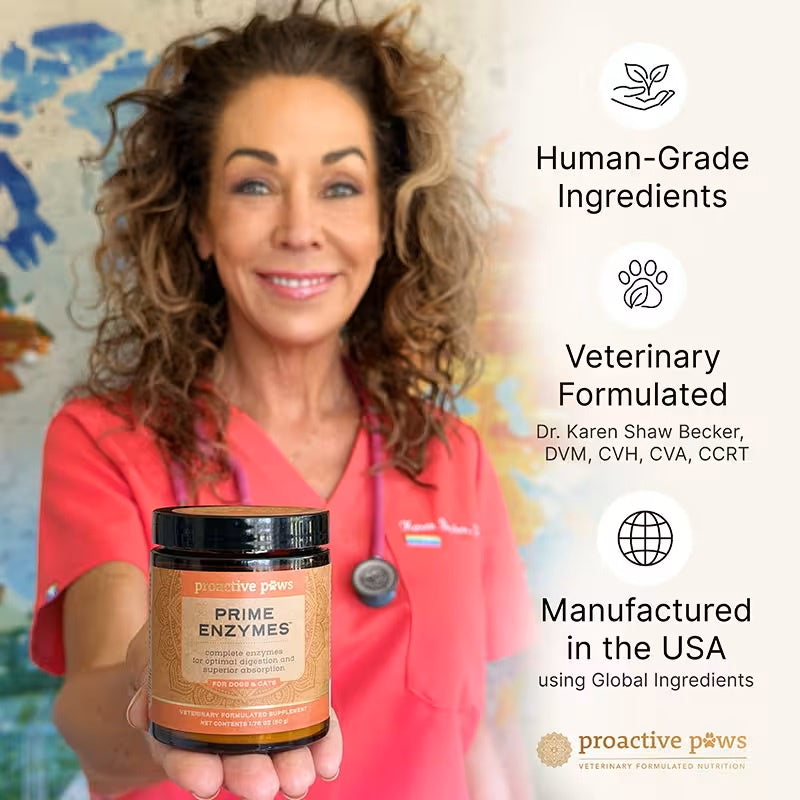 10% OFF Dr Karen Becker Proactive Paws - Prime Enzymes 45g Pet Supplements For Dogs & Cats