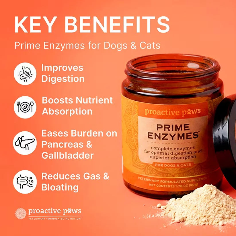 10% OFF Dr Karen Becker Proactive Paws - Prime Enzymes 45g Pet Supplements For Dogs & Cats