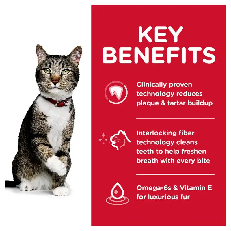 Science Diet Free Puffy Bag + 20 % OFF Science Diet Adult Oral Care Dry Cat Food 3.5lbs Cat Food & Treats
