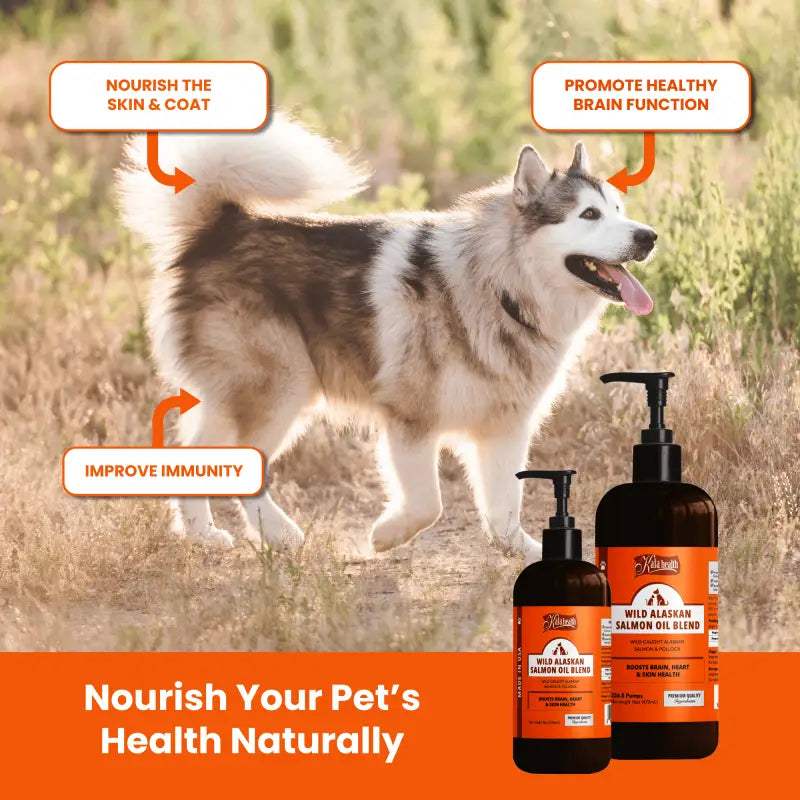 Singapaw WILD ALASKAN SALMON OIL BLEND 8oz (236ml) / 16oz (473ml) Pet Supplements