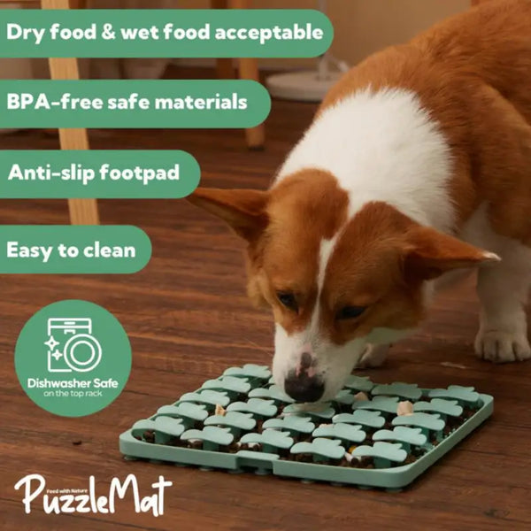 Not specified Puzzle Feeder Interactive Dog Slow Feeder Mat (Green) PM-G001