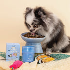 [10% OFF] Notti But I have Weak Joints (emulsified Norwegian salmon & Green-Lipped Mussel) 45ml Supplements For Dogs & Cats