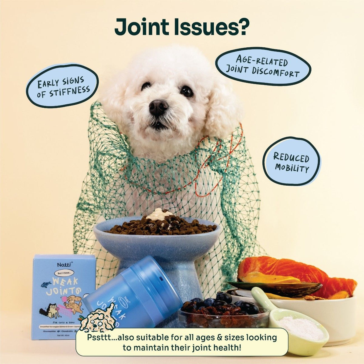 [10% OFF] Notti But I have Weak Joints (emulsified Norwegian salmon & Green-Lipped Mussel) 45ml Supplements For Dogs & Cats