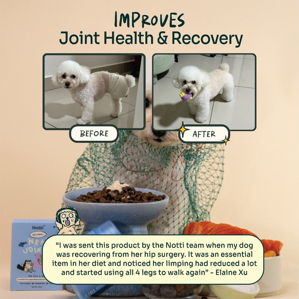 [10% OFF] Notti But I have Weak Joints (emulsified Norwegian salmon & Green-Lipped Mussel) 45ml Supplements For Dogs & Cats