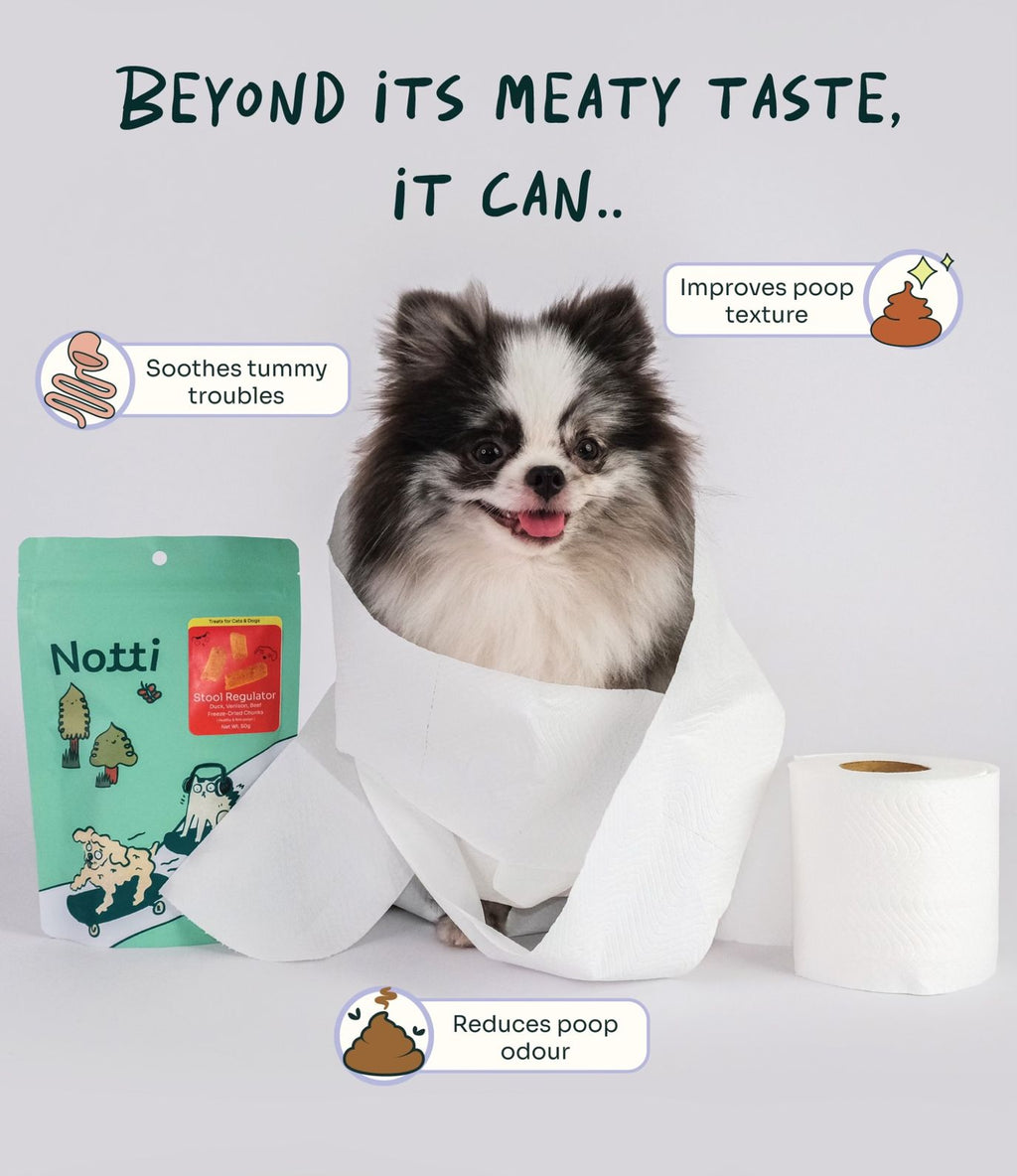 [10% OFF] Notti Stool Regulator Duck, Venison, Beef Freeze-Dried Chunks 50g Treats For Dogs & Cats