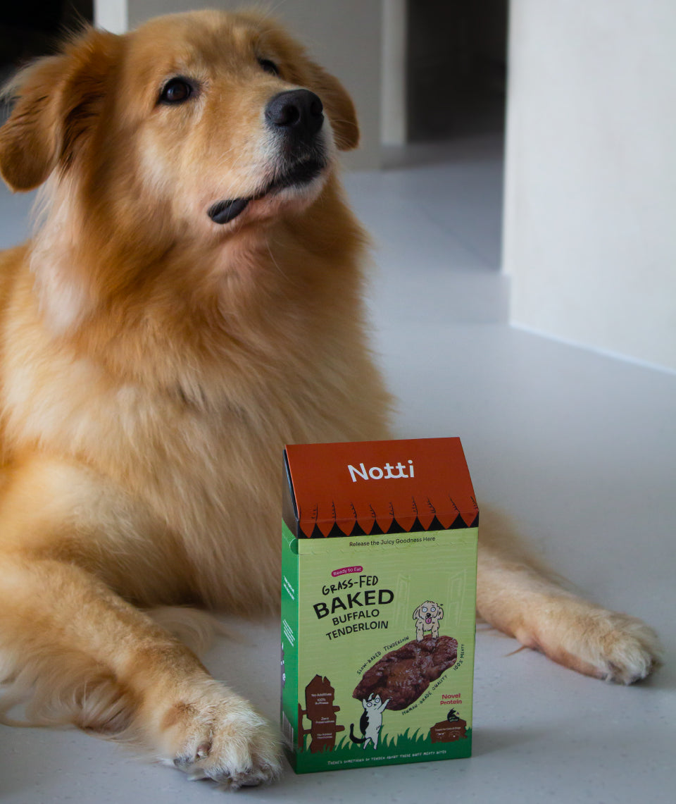 [10% OFF] Notti Grass-Fed Baked Buffalo Tenderloin (4 x20g) Treats For Dogs & Cats 80g