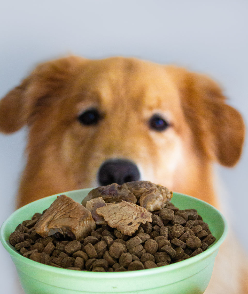 [10% OFF] Notti Grass-Fed Baked Buffalo Tenderloin (4 x20g) Treats For Dogs & Cats 80g