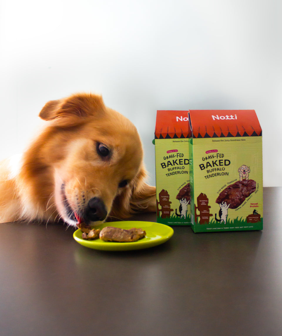 [10% OFF] Notti Grass-Fed Baked Buffalo Tenderloin (4 x20g) Treats For Dogs & Cats 80g