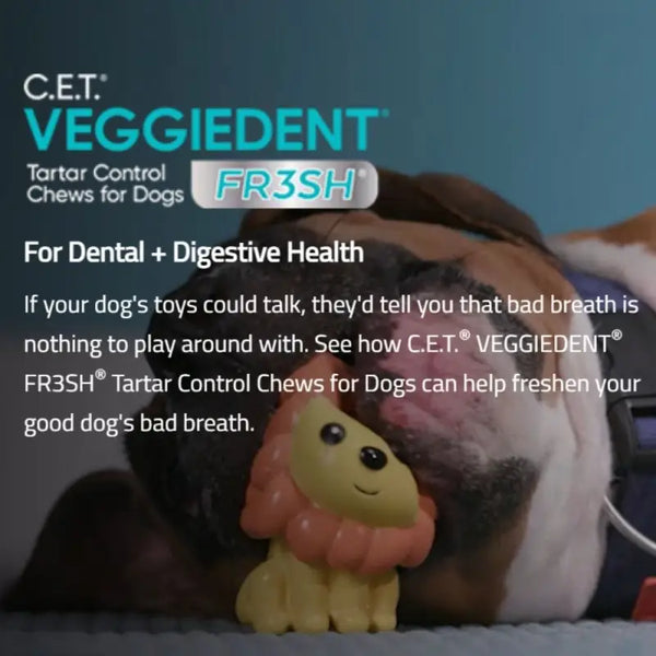 Virbac Virbac C.E.T. Veggiedent Tartar Control Chews 224g Dog Food & Treats