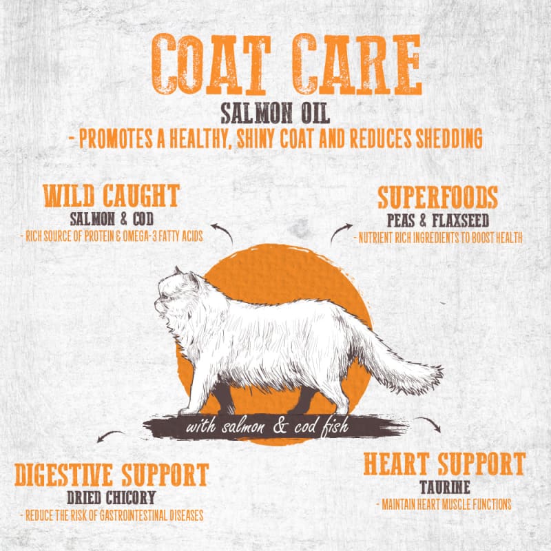 Absolute Holistic [UP TO 36% OFF] Absolute Holistic Coat Care Grain-free Dry Cat Food (2 Sizes) Cat Food & Treats