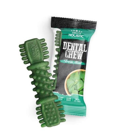 Absolute Holistic Absolute Holistic Fresh Mint Dental Dog Chew 4 Inch (25g) Dog Food & Treats