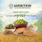 Addiction Addiction Zen Vegetarian Dry Dog Food (3 Sizes) Dog Food & Treats