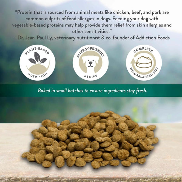 Addiction Addiction Zen Vegetarian Dry Dog Food (3 Sizes) Dog Food & Treats