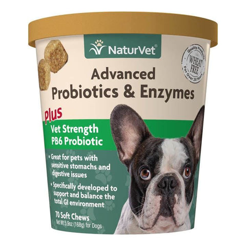 NaturVet [20% OFF] NaturVet Advanced Probiotics & Enzymes Soft Chews Dog Supplement 70ct Dog Healthcare