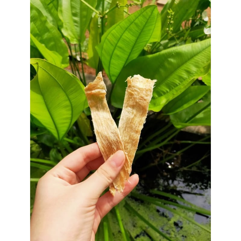 Alpha Origin Alpha Origin Premium Crocodile Jerky Dehydrated Dog & Cat Treats 80g Dog Food & Treats