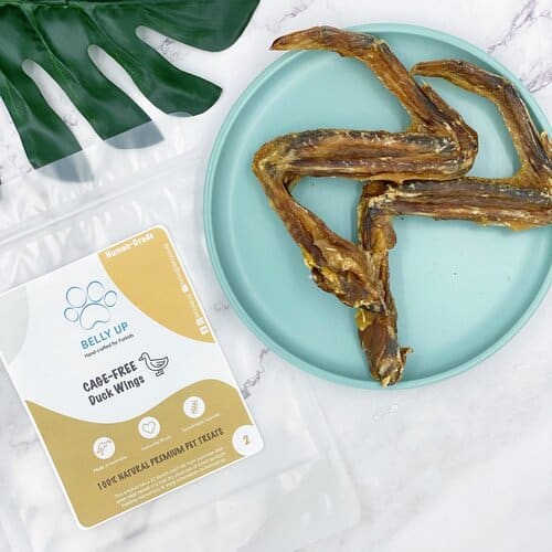 Belly Up Belly Up Duck Wings Air-Dried Dog Treats (2 Sizes) Dog Food & Treats