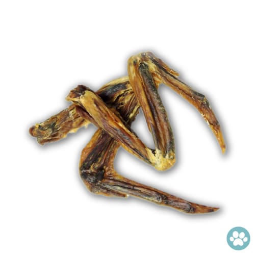 Belly Up Belly Up Duck Wings Air-Dried Dog Treats (2 Sizes) Dog Food & Treats