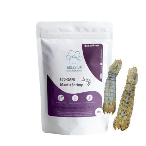Belly Up Belly Up Mantis Shrimp Air-Dried Cat & Dog Treats (2 Sizes) Dog Food & Treats