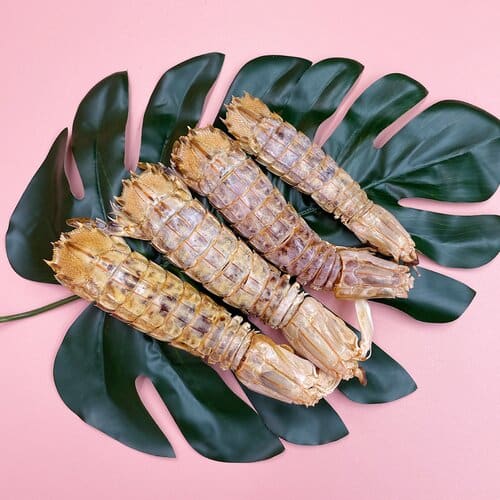Belly Up Belly Up Mantis Shrimp Air-Dried Cat & Dog Treats (2 Sizes) Dog Food & Treats