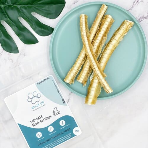 Belly Up Belly Up Shark Cartilage Air-Dried Dog Treats (2 Sizes) Dog Food & Treats