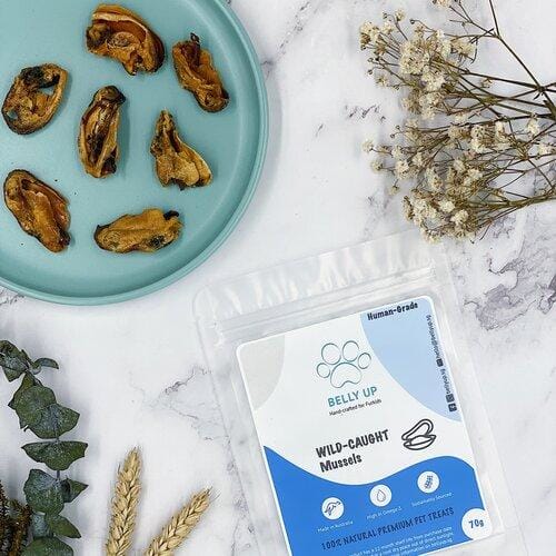 Belly Up Belly Up Wild Caught Green Lipped Mussels Air-Dried Cat & Dog Treats (3 Sizes) Dog Food & Treats