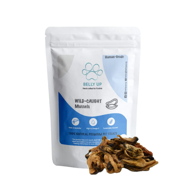 Belly Up Belly Up Wild Caught Green Lipped Mussels Air-Dried Cat & Dog Treats (3 Sizes) Dog Food & Treats