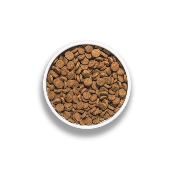 BIXBI [15% OFF + FREE FREEZE-DRIED 128G*] BIXBI RAWBBLE Landatarian Ancient Grain Limited Ingredient Dry Dog Food (2 Sizes) General