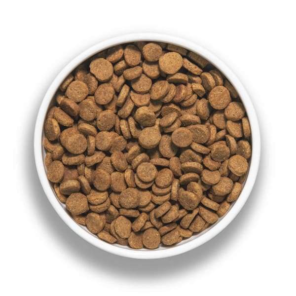 BIXBI [15% OFF + FREE FREEZE-DRIED 128G*] BIXBI RAWBBLE Turkey Ancient Grain Limited Ingredient Dry Dog Food (2 Sizes) Dog Food & Treats