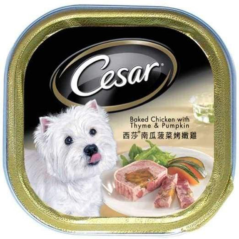 Cesar Cesar Baked Chicken With Thyme & Pumpkin Pate Tray Dog Food 100g Dog Food & Treats