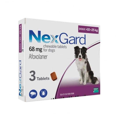 NexGard [20% OFF] NexGard Chews for Large Dogs (10 to 25kg) Dog Healthcare