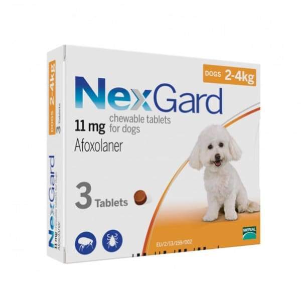 NexGard [20% OFF] NexGard Chews for Small Dogs (2kg to 4kg) Dog Healthcare