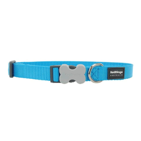 Red Dingo Red Dingo Bucklebone Classic Turquoise Dog Collar (4 Sizes) Dog Accessories
